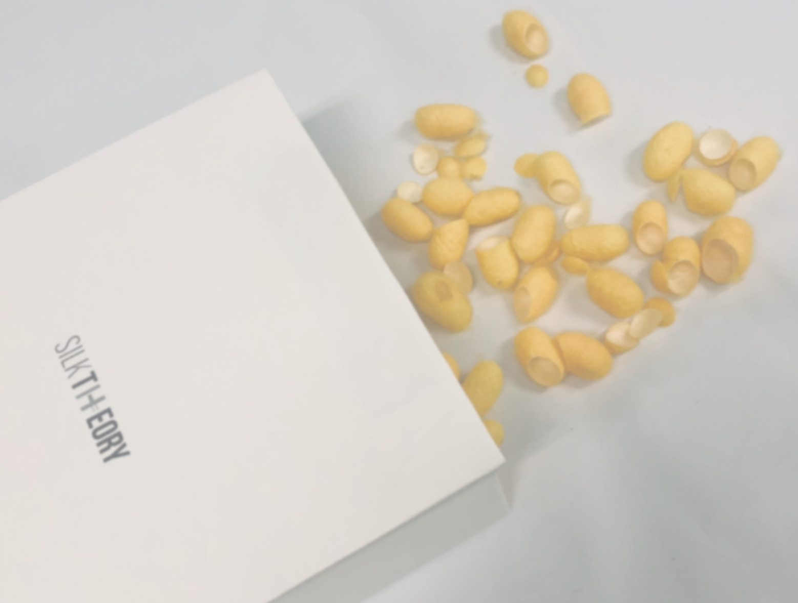 A white brand box labeled 'SILK THEORY' with golden silkworm cocoons spilling out onto a white surface.
