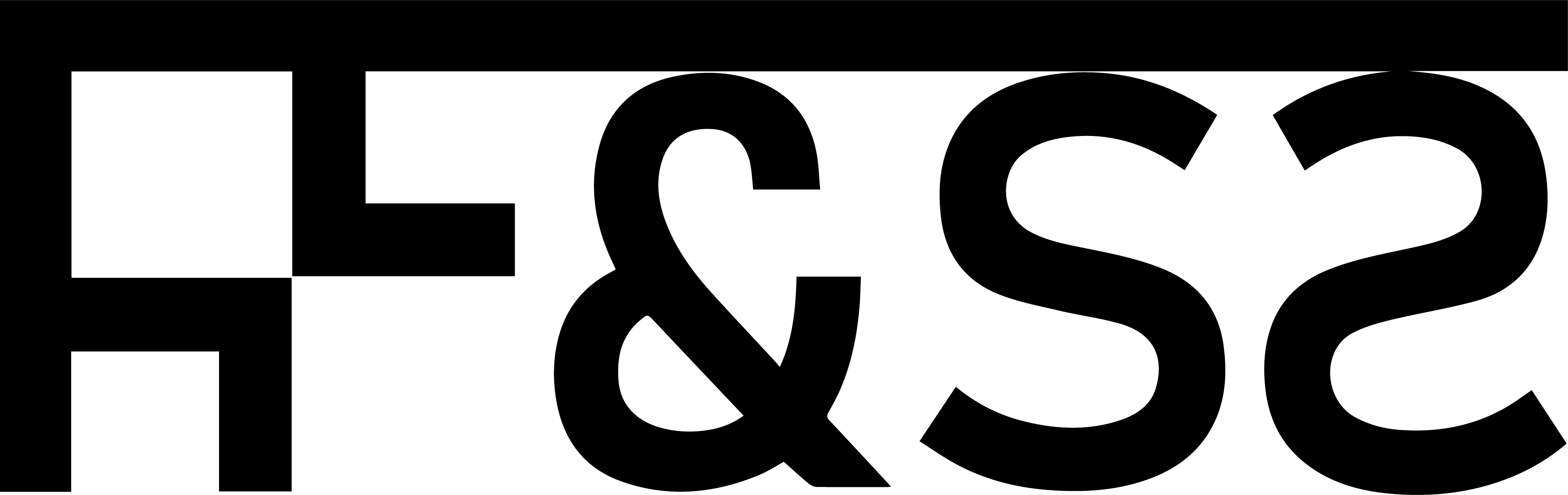 FT&SkinSolution Company logo